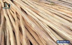 Cừ tràm bóc vỏ