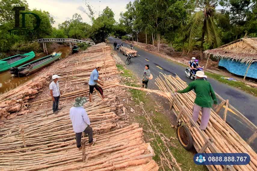 cu tram tai kien giang