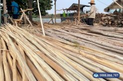 Gỗ bạch đàn trang trí