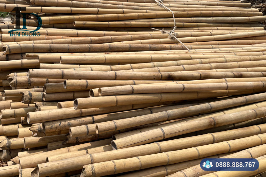 Cây tre khô trang trí