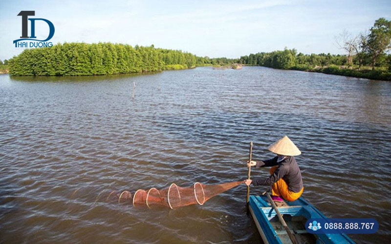 Cây đước trong nuôi trồng thủy sản