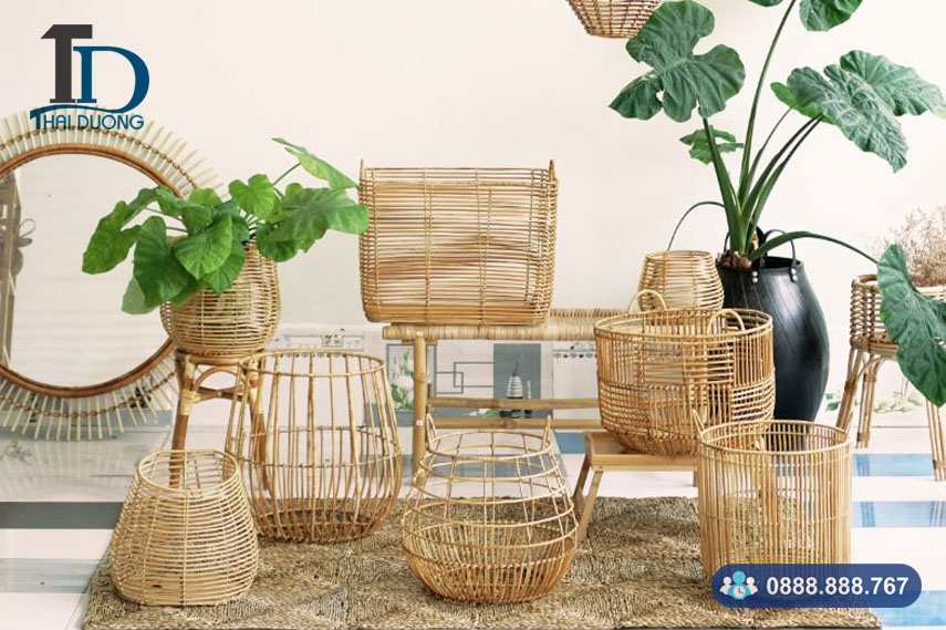 Ứng dụng cây mây