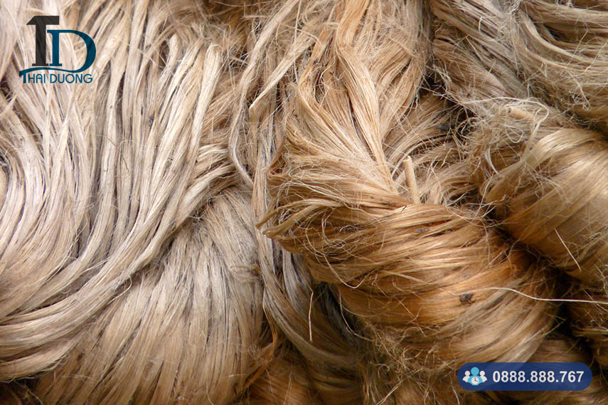 Đặc điểm sợi đay