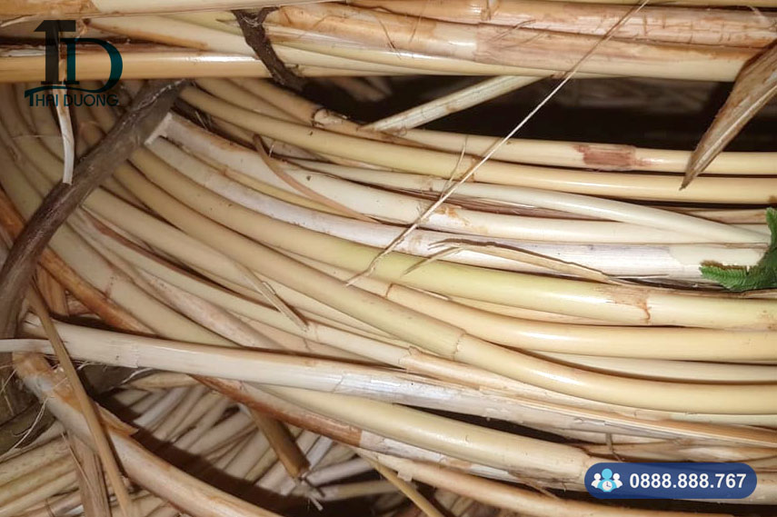 Dây mây tự nhiên