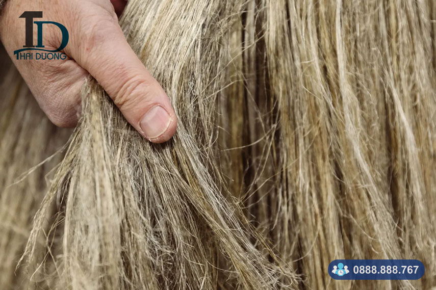 sợi gai dầu là gì