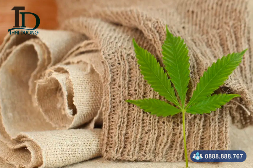 Ưu điểm sợi gai dầu